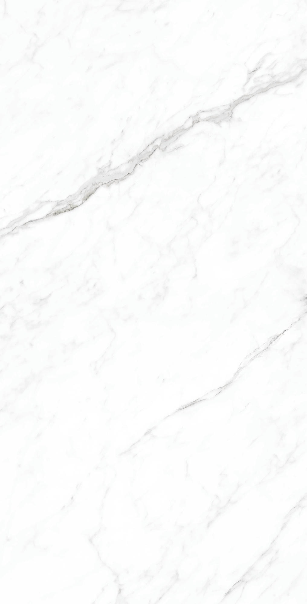 CORALINA WHITE 1200x600 — изображение 2