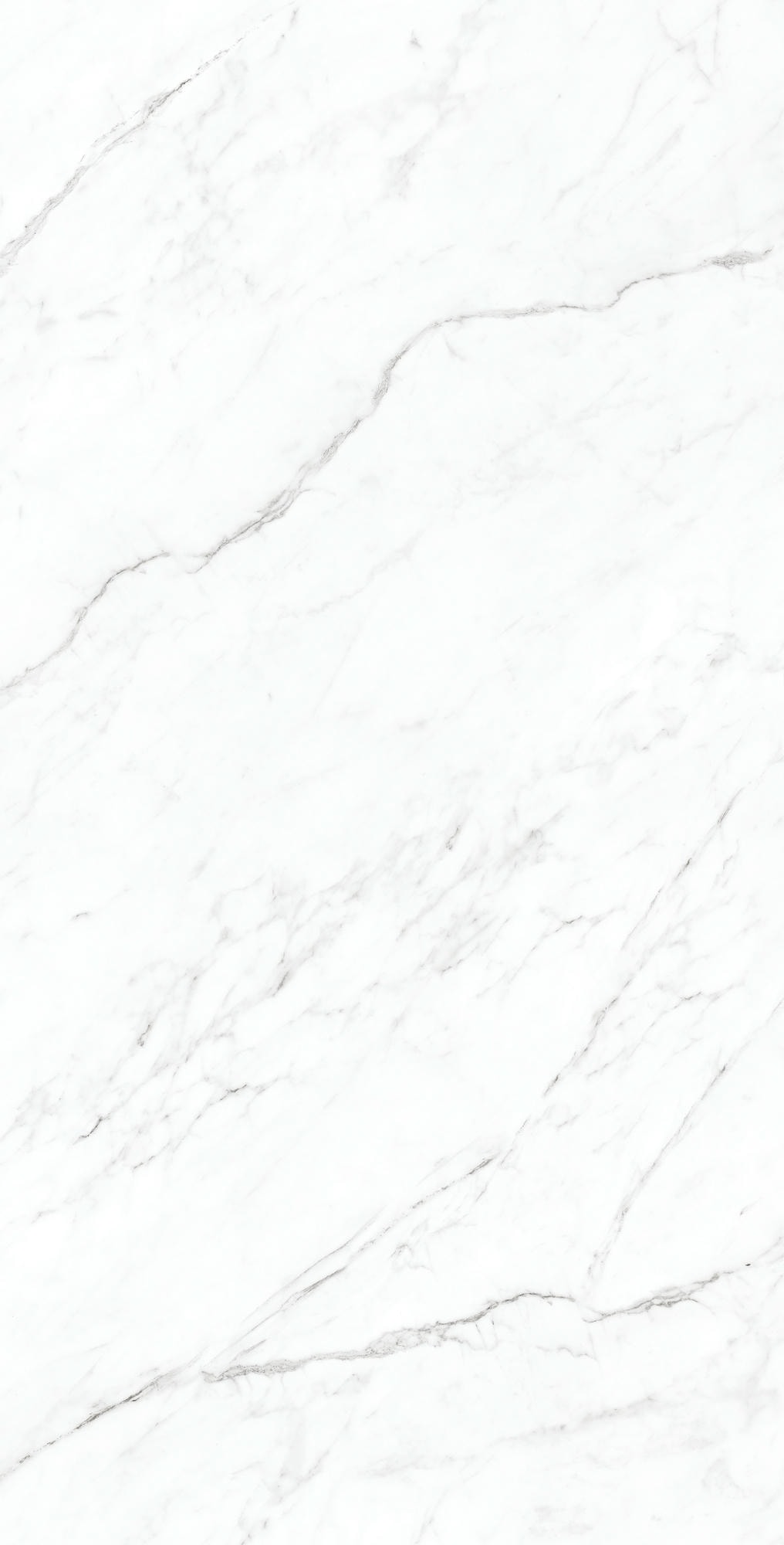CORALINA WHITE 1200x600 — изображение 3