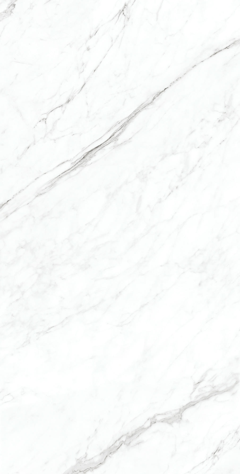 CORALINA WHITE 1200x600 — изображение 4