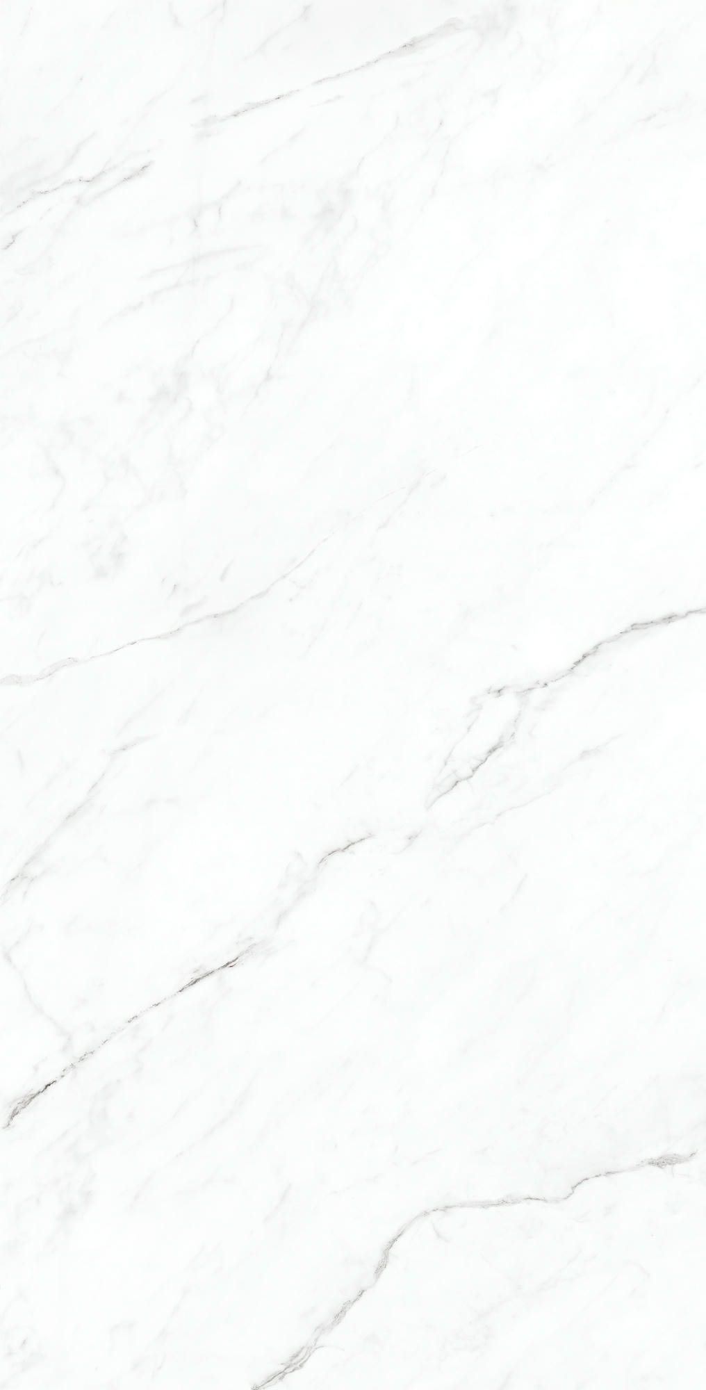 CORALINA WHITE 1200x600 — изображение 5