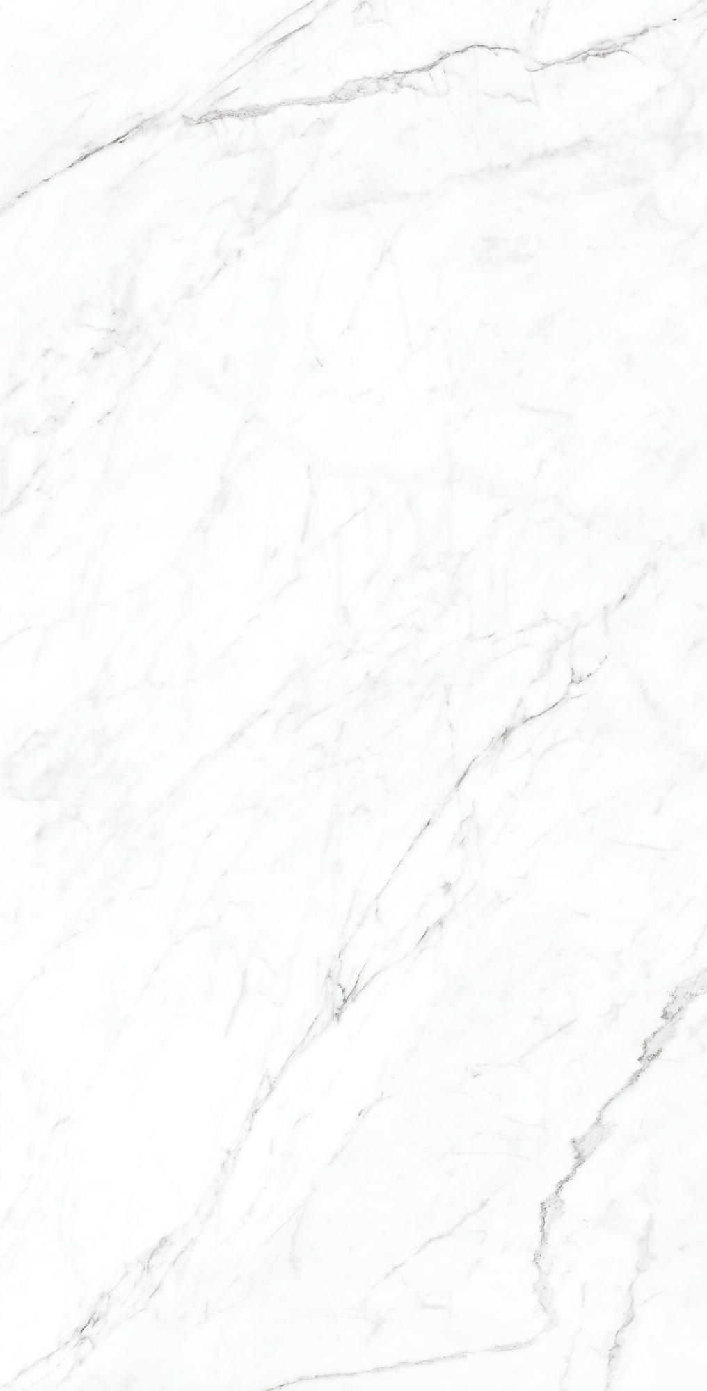 CORALINA WHITE 1200x600 — изображение 6