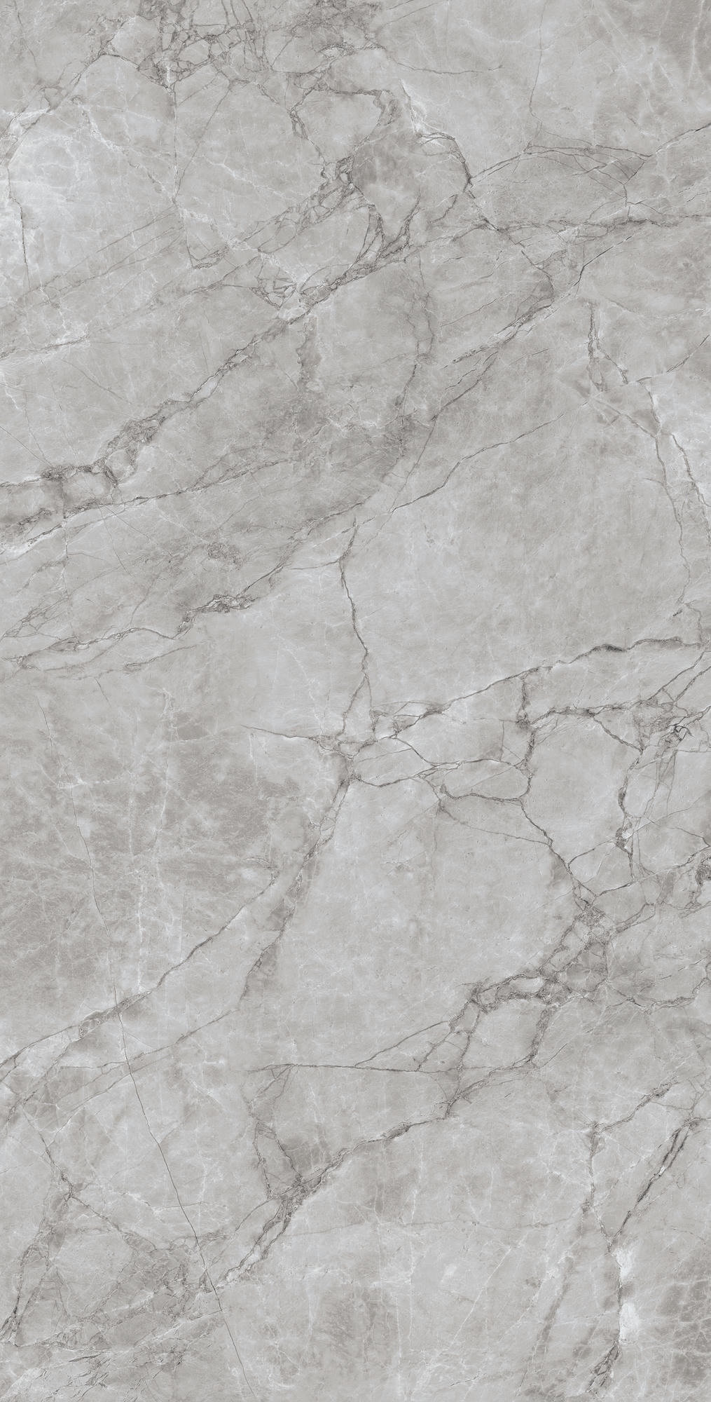 ARCTIC GREY 1200×600 — изображение 4