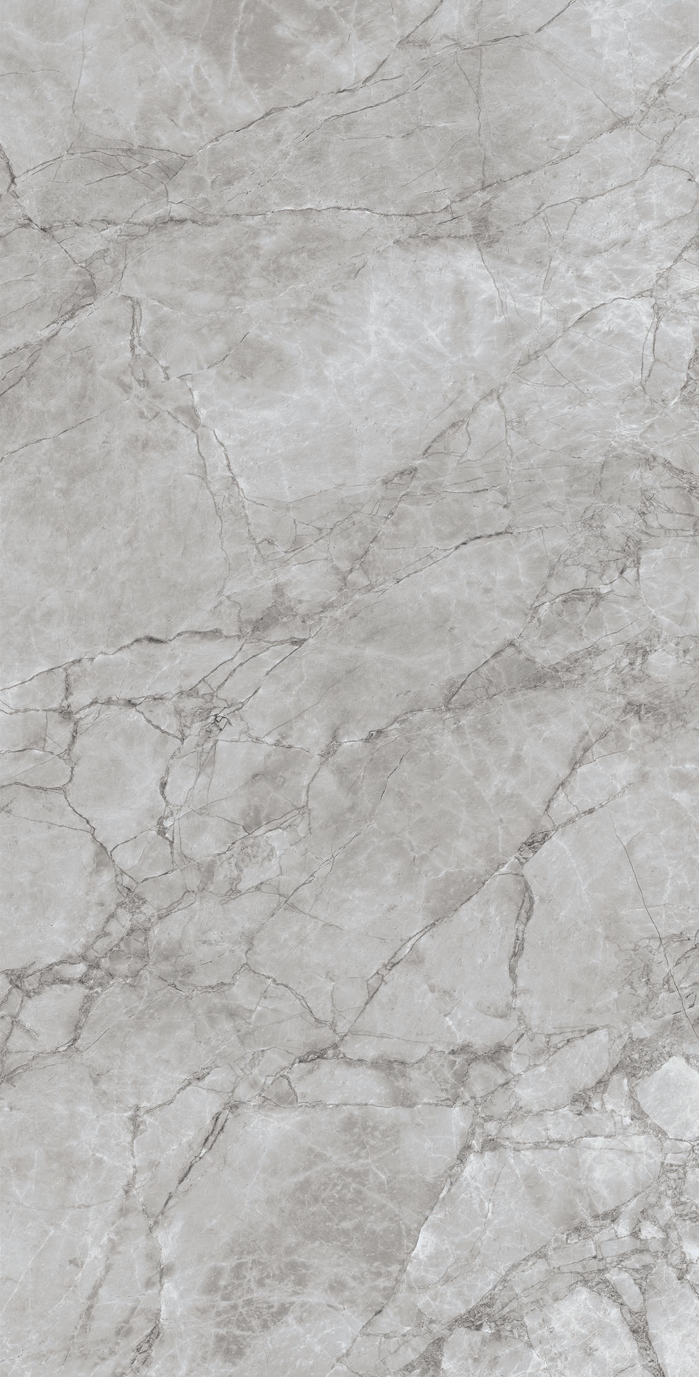 ARCTIC GREY 1200×600 — изображение 5