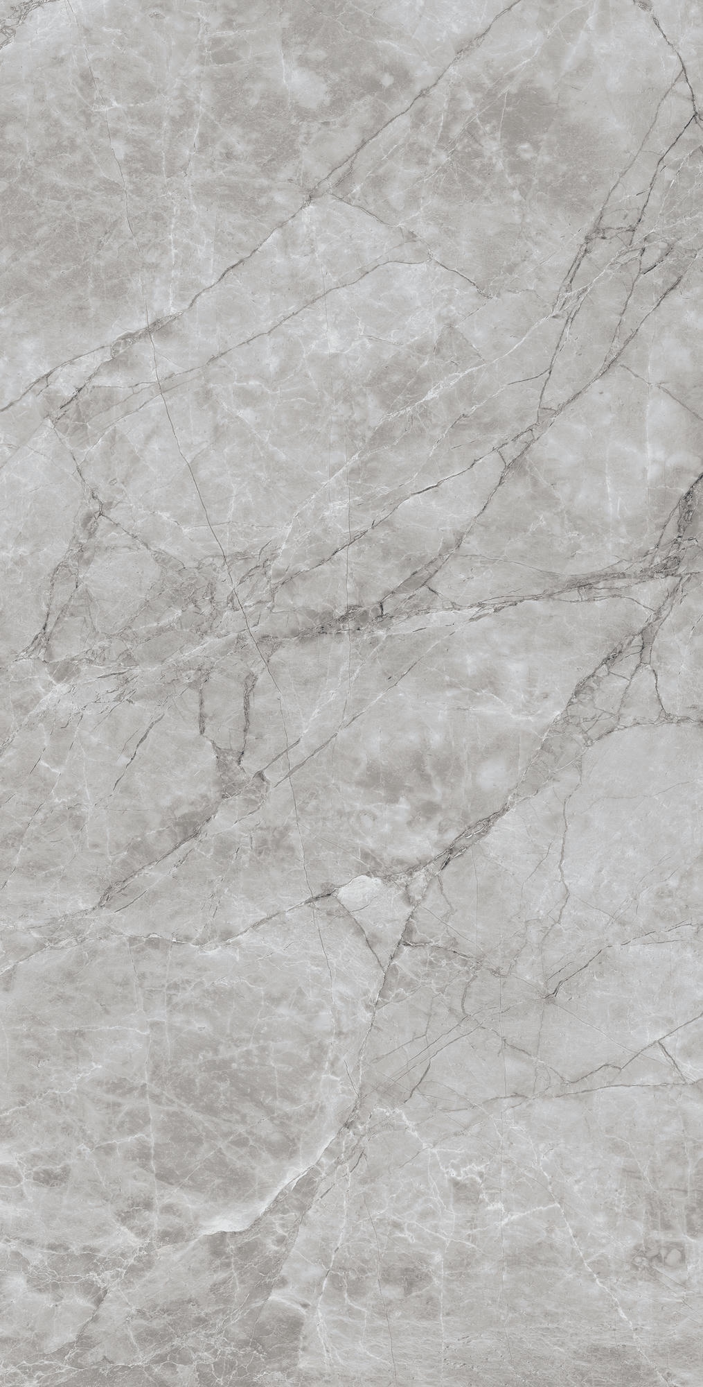 ARCTIC GREY 1200×600 — изображение 6