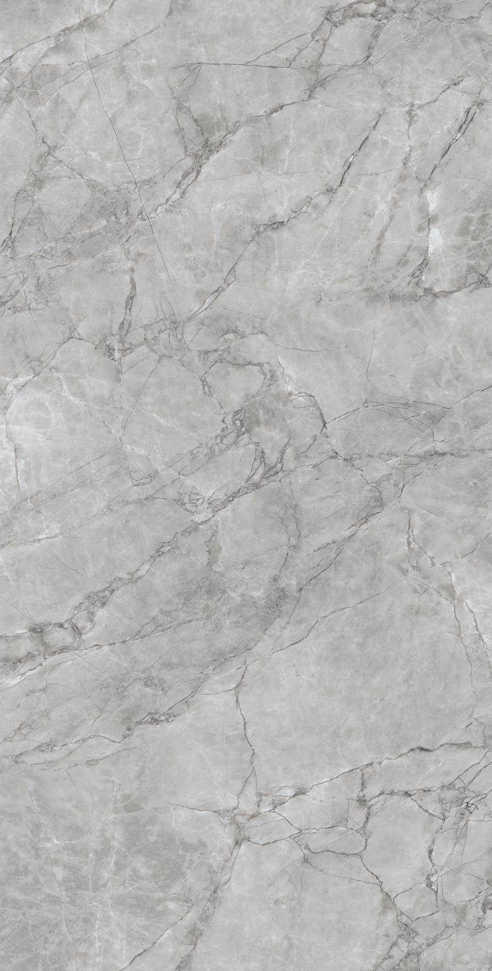 ARCTIC GREY 1200×600 — изображение 7