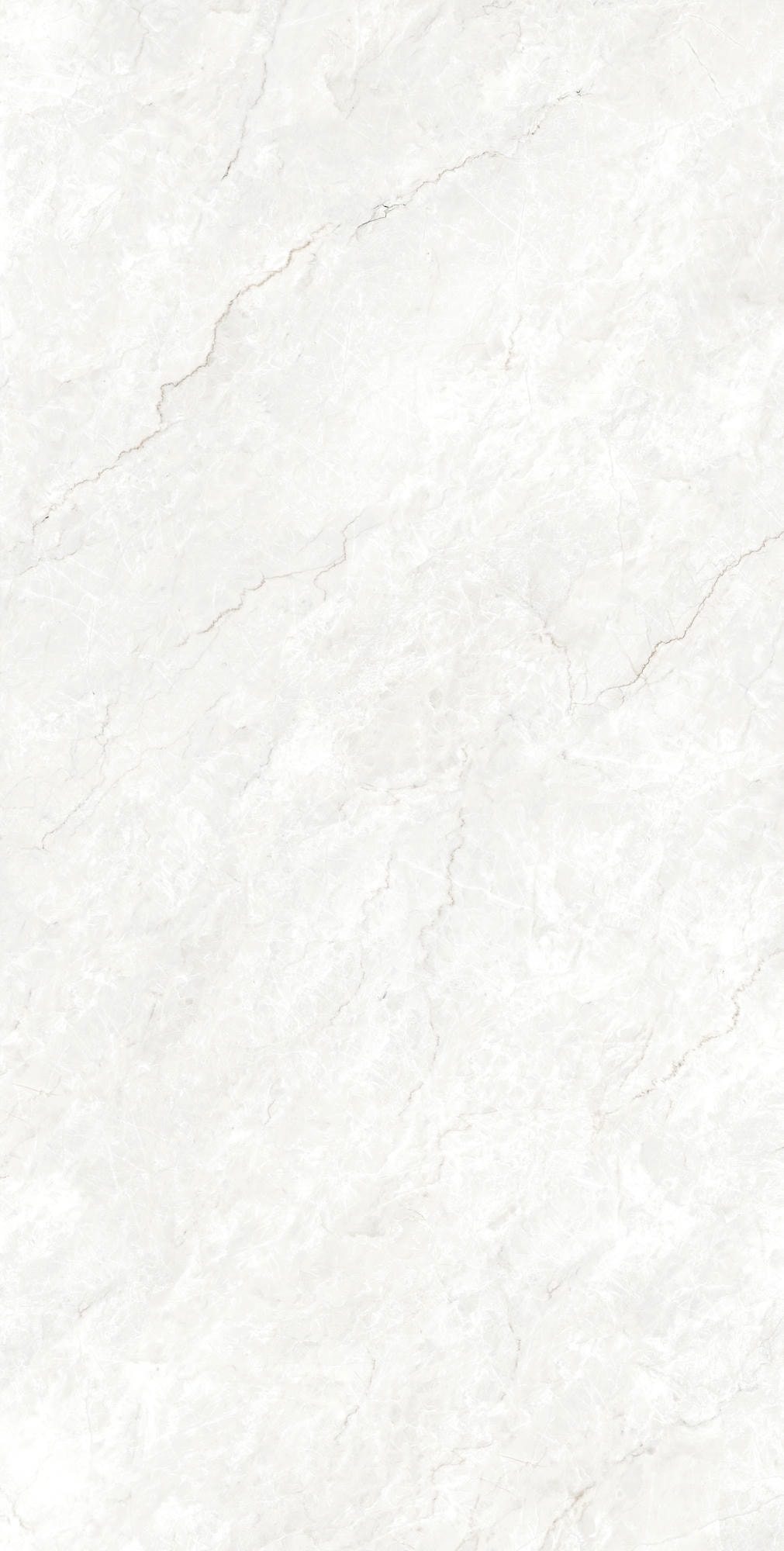 FERROL WHITE 1600x800 — изображение 2