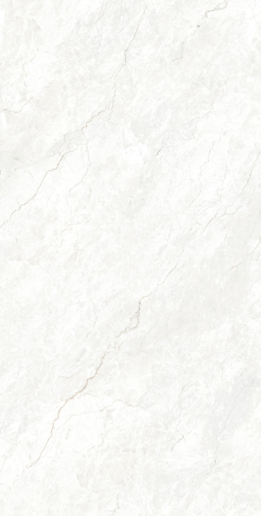 FERROL WHITE 1600x800 — изображение 3