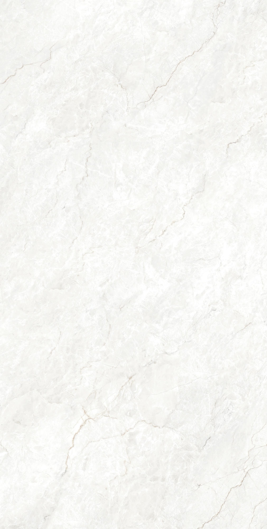 FERROL WHITE 1600x800 — изображение 4