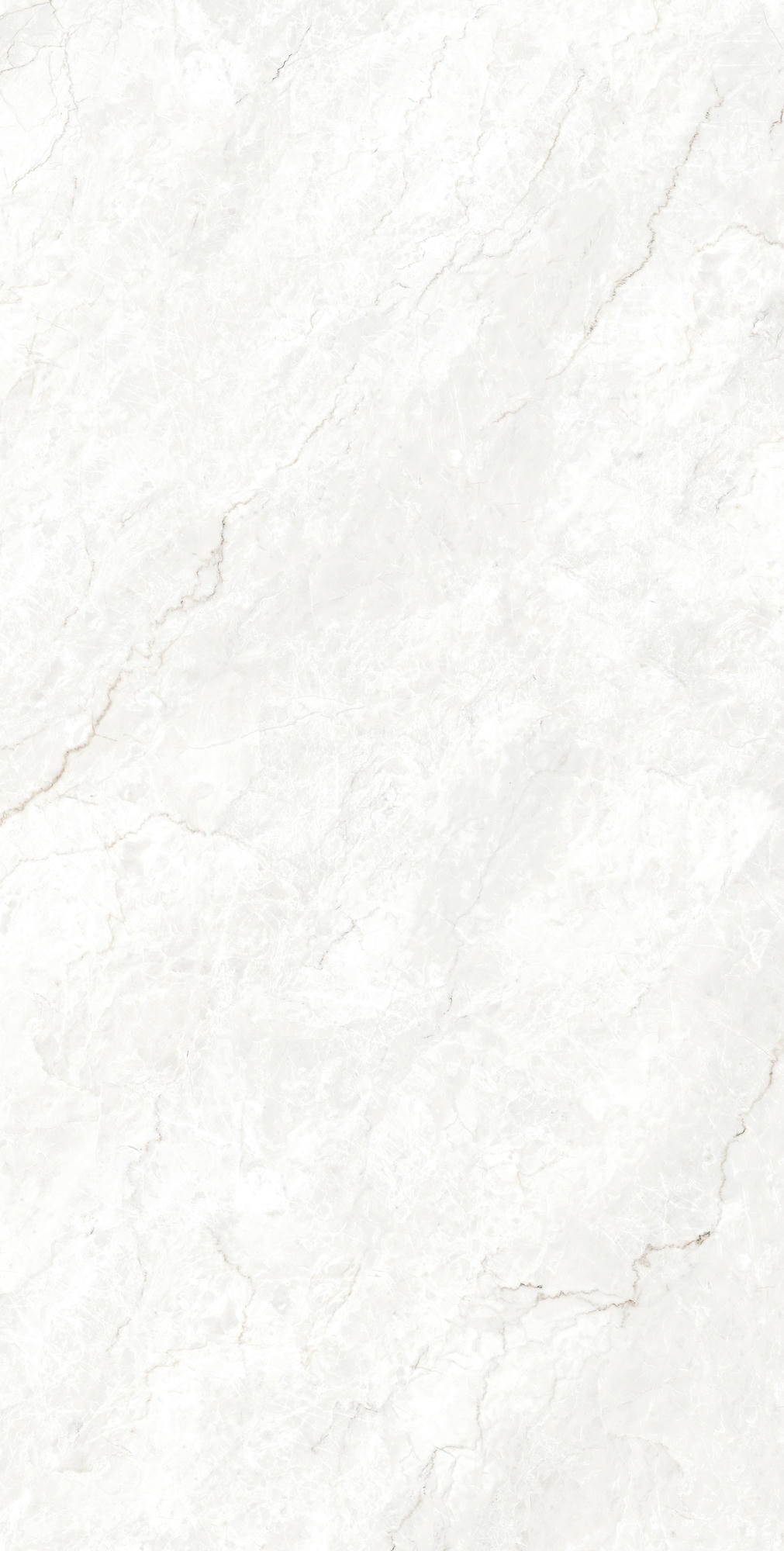 FERROL WHITE 1600x800 — изображение 5