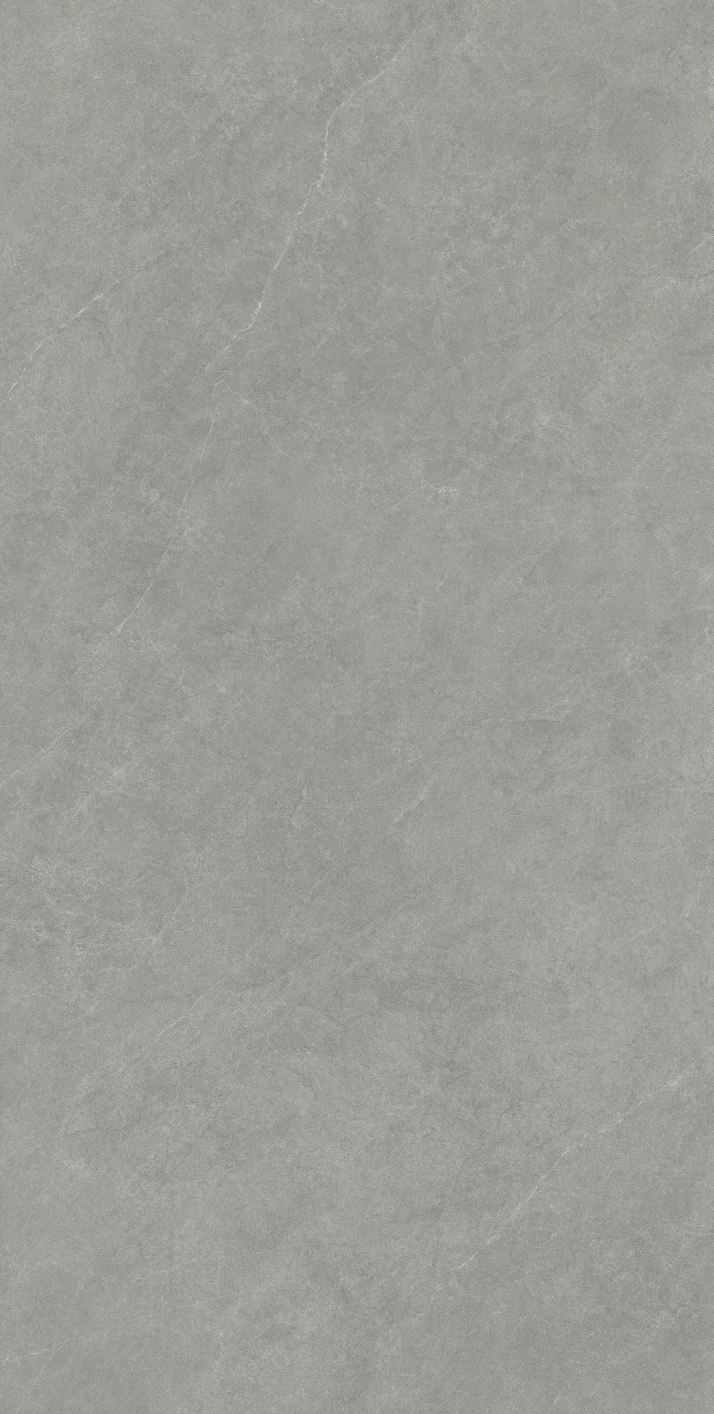 LISTELLO GRIS 1600x800 — изображение 3