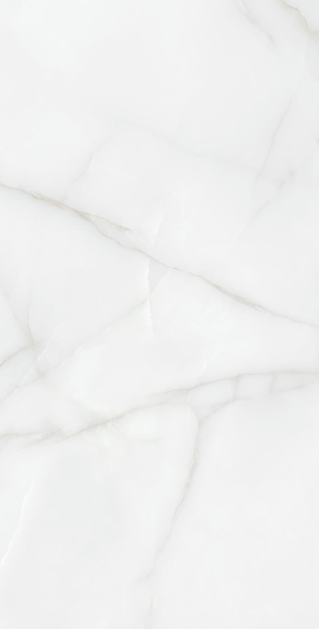 FEATHER ONYX 1200×600 — изображение 2