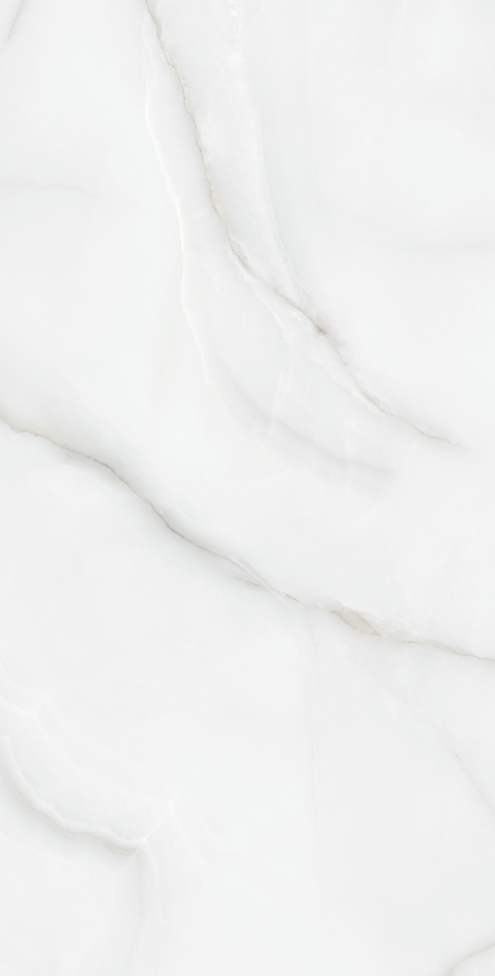 FEATHER ONYX 1200×600 — изображение 3