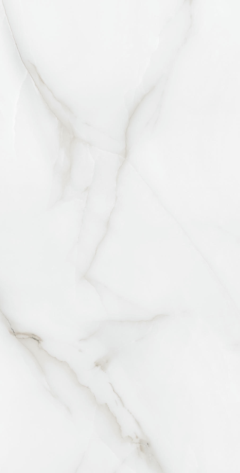 FEATHER ONYX 1200×600 — изображение 5