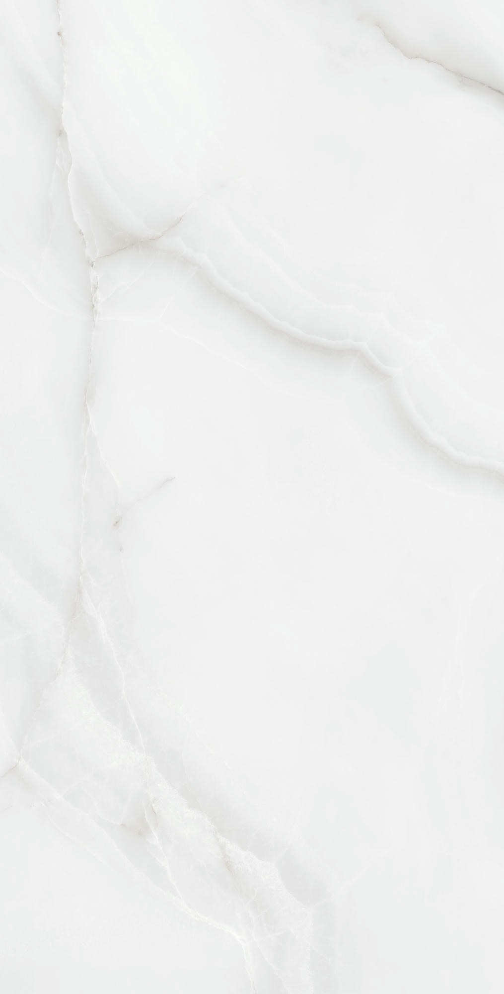 FEATHER ONYX 1200×600 — изображение 6