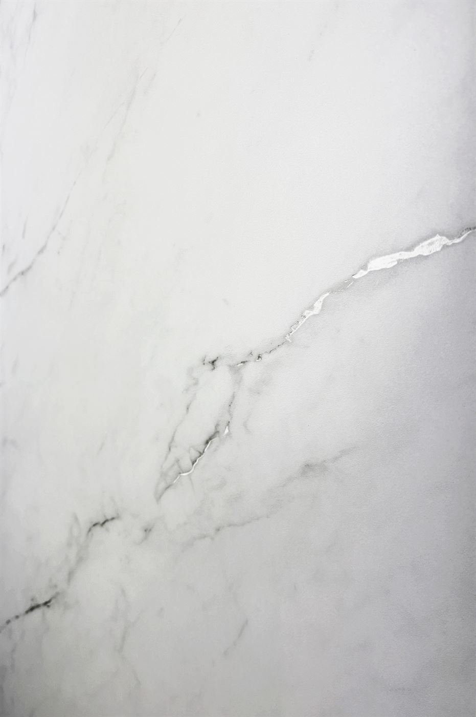 CORALINA WHITE 1200x600 — изображение 7