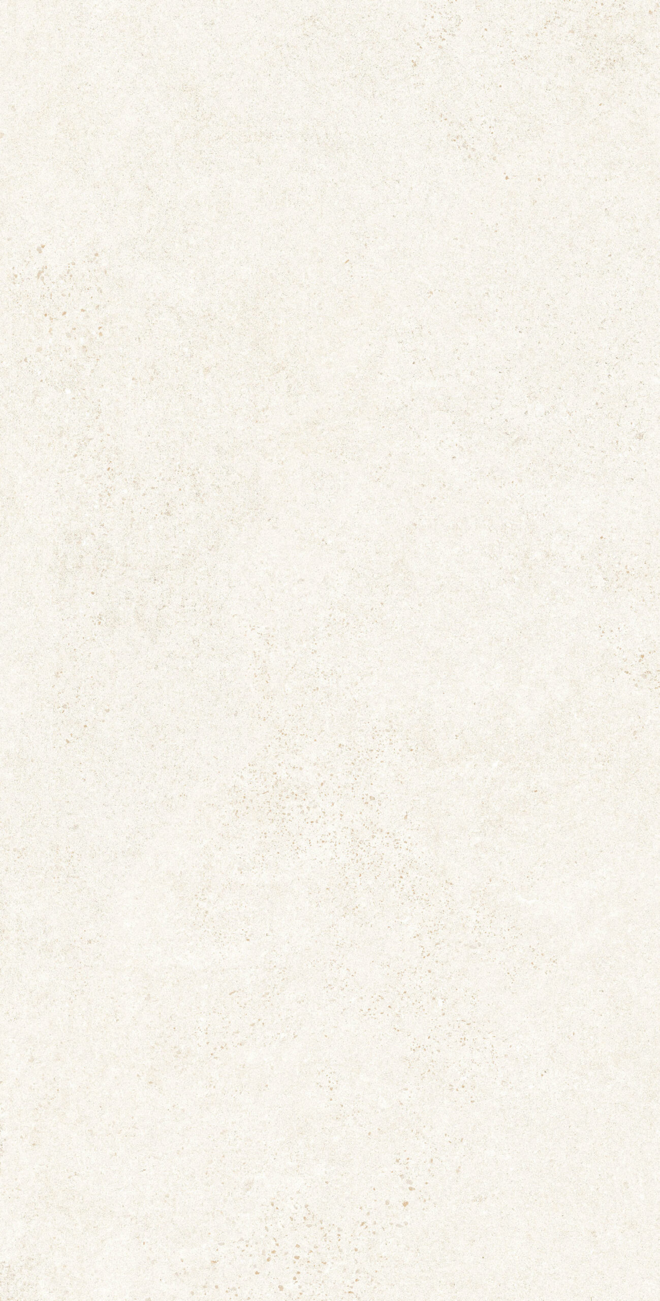 BOTTEGA CHIFFON 1200x600 — изображение 2