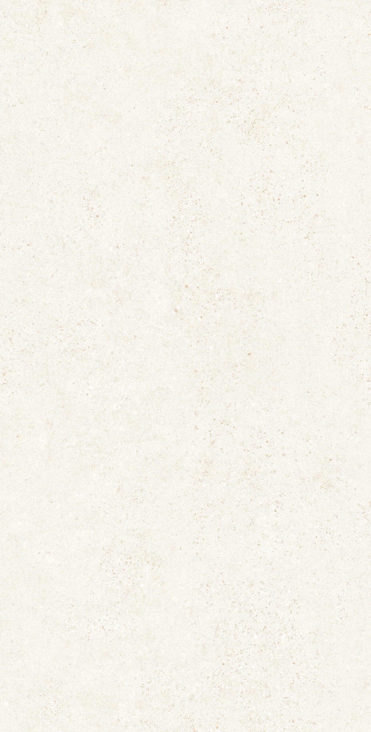 BOTTEGA CHIFFON 1200x600 — изображение 3