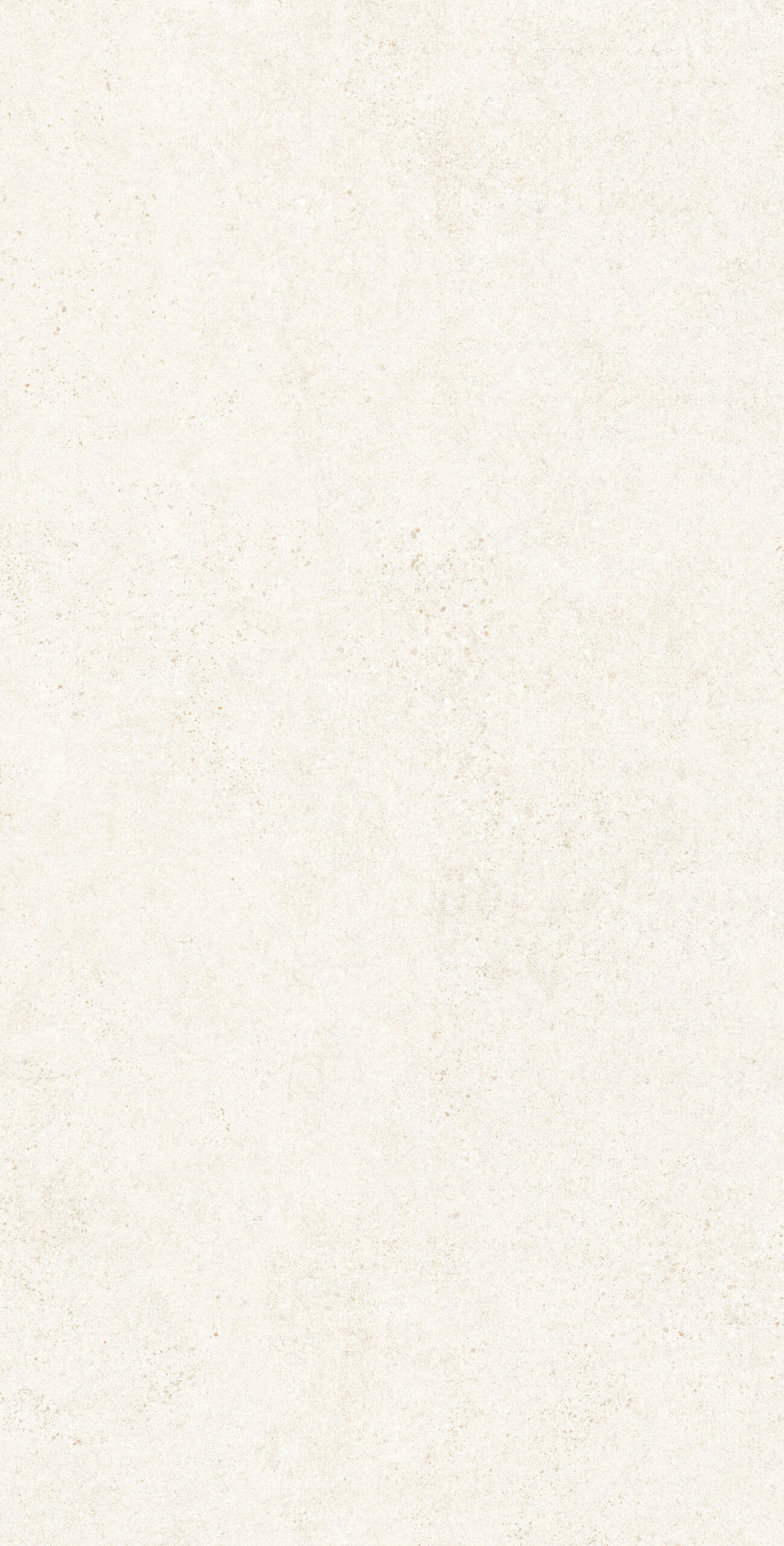 BOTTEGA CHIFFON 1200x600 — изображение 5