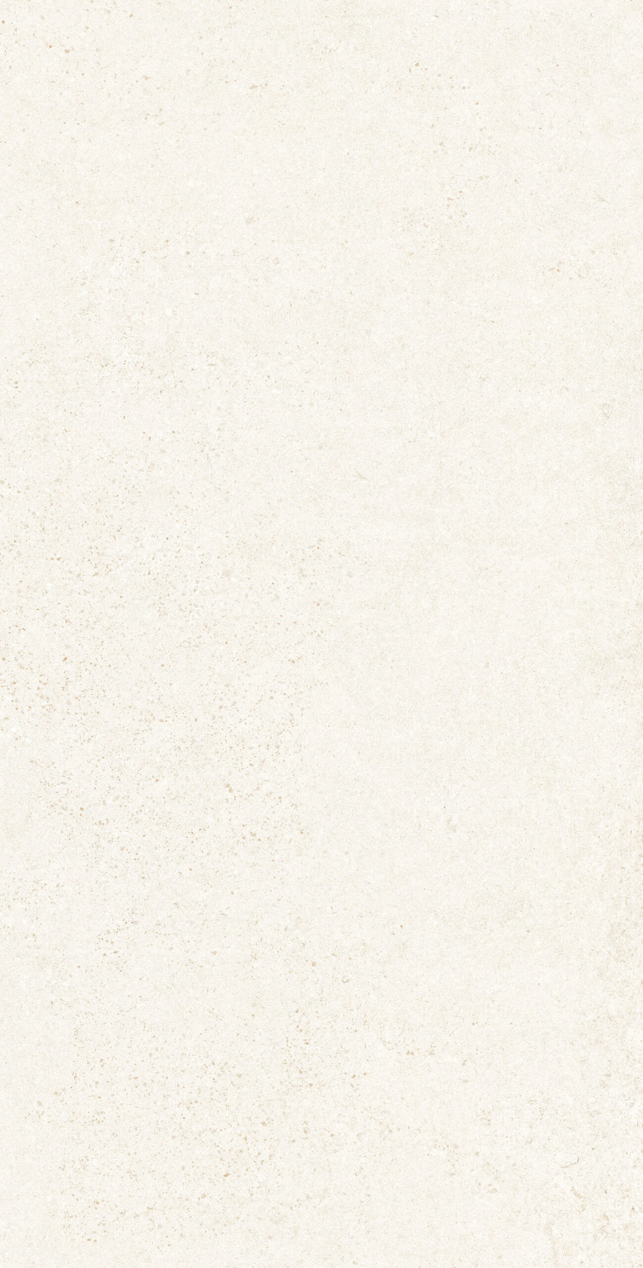 BOTTEGA CHIFFON 1200x600 — изображение 4