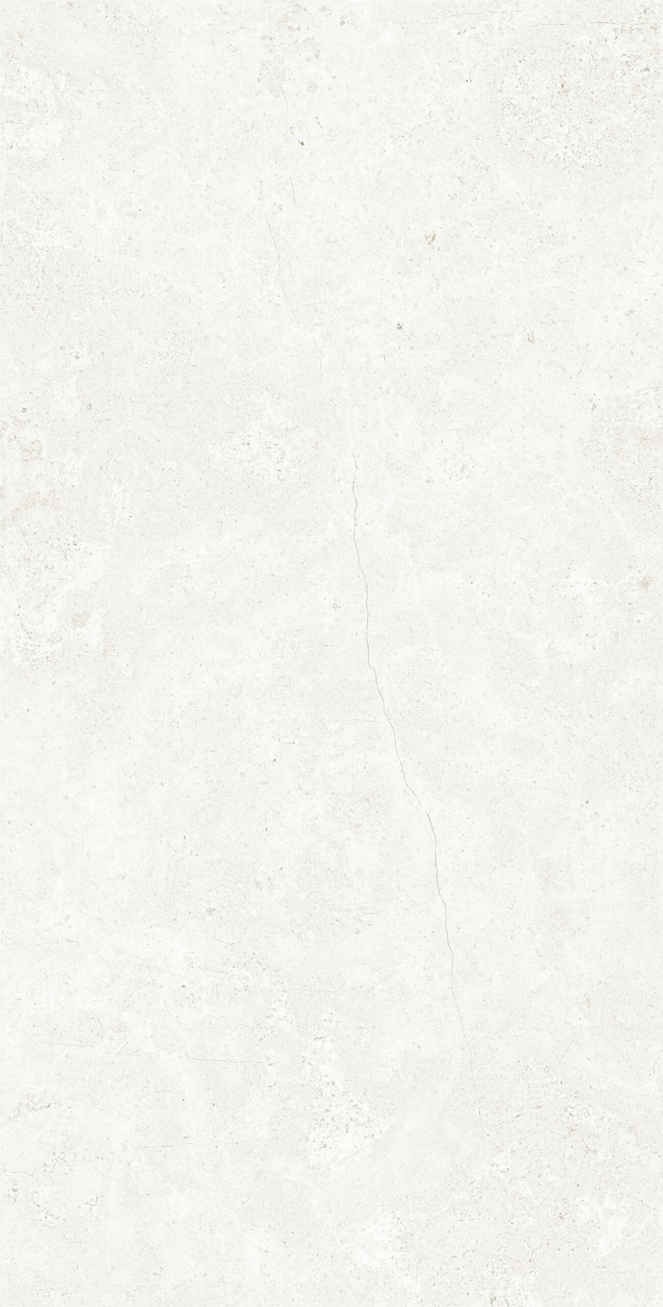 PALATINO BIANCO 1200x600 — изображение 2