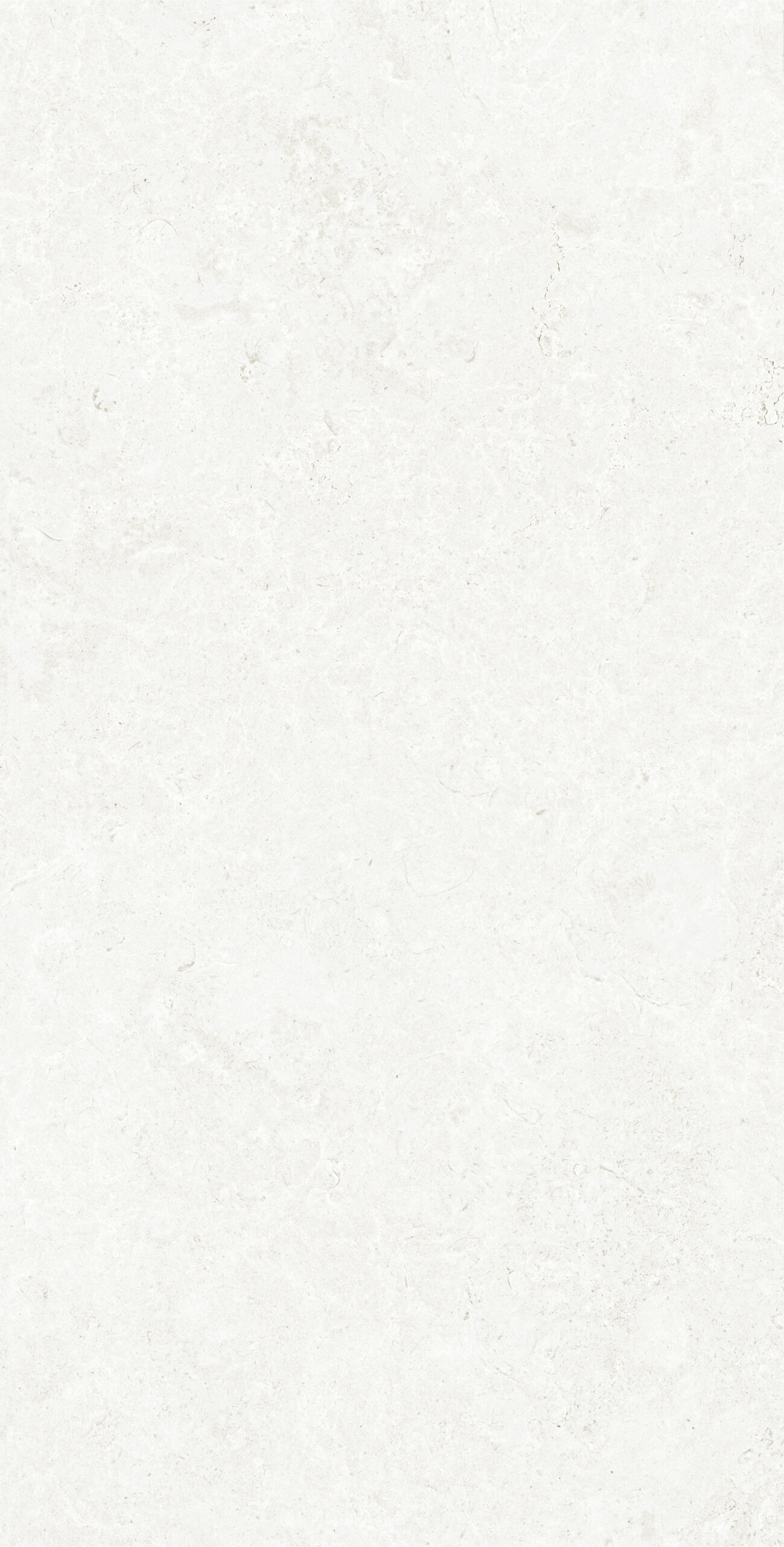 PALATINO BIANCO 1200x600 — изображение 4