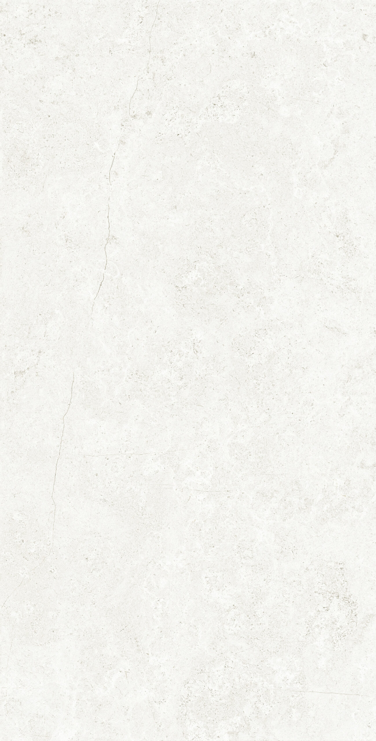 PALATINO BIANCO 1200x600 — изображение 3