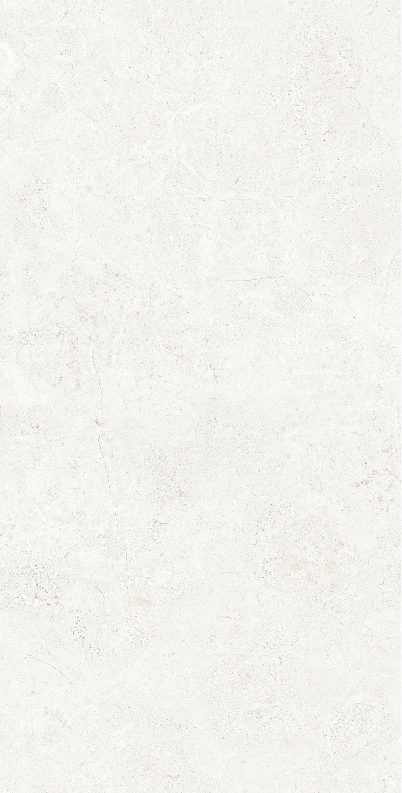 PALATINO BIANCO 1200x600 — изображение 6