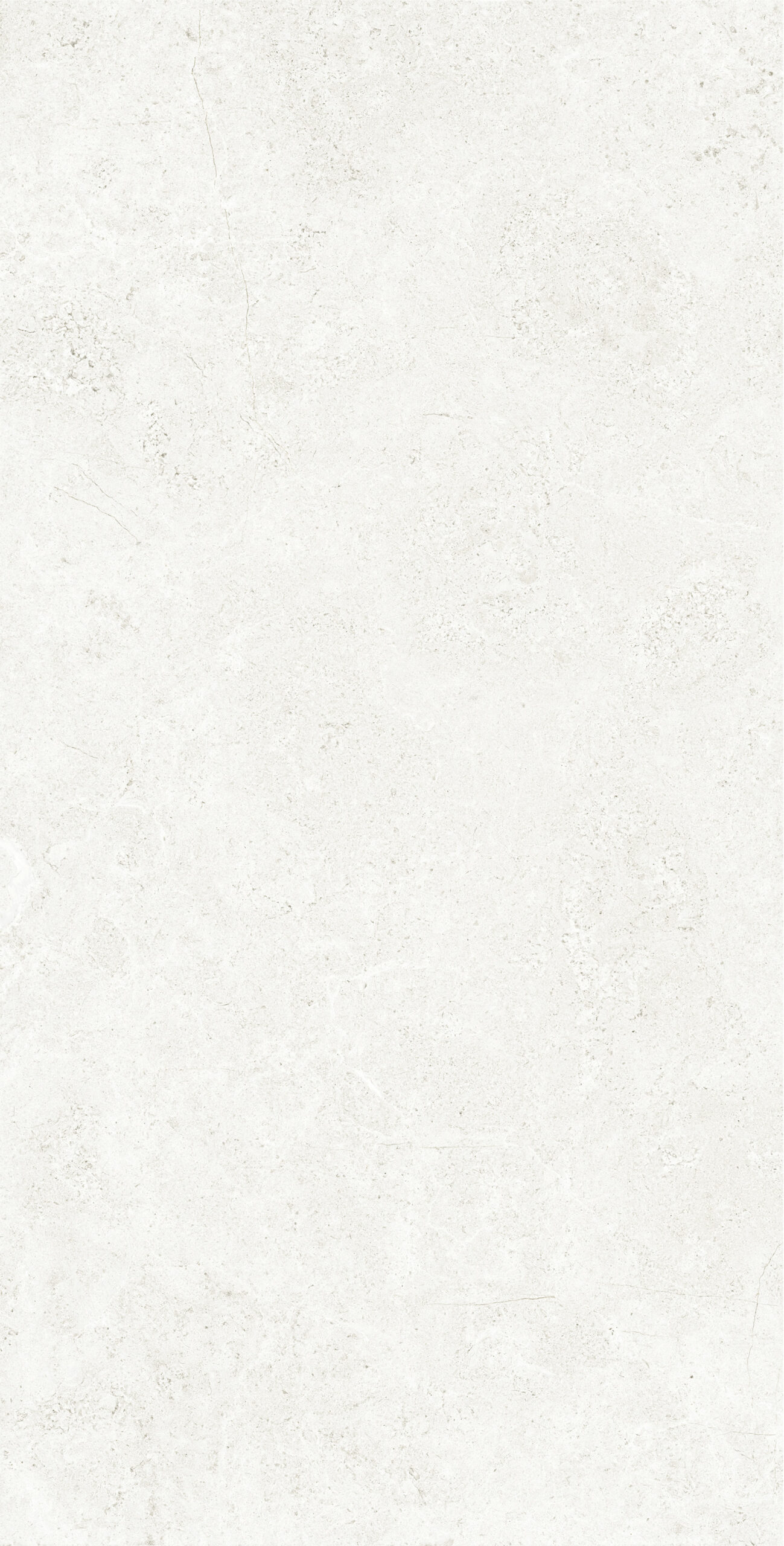 PALATINO BIANCO 1200x600 — изображение 5